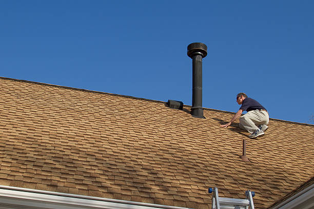 Best Roof Ventilation Installation  in Mount Olive, AL